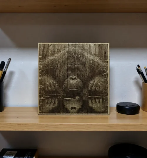 [artistly design] 019aa1f3 326c 7081 9ce7 fab9667d93a9