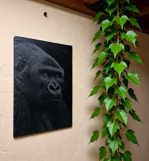 [artistly design] 019aa1f7 373f 7276 a9cb 46fce2e85a4d