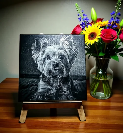 REALISATIES hondje op canvas