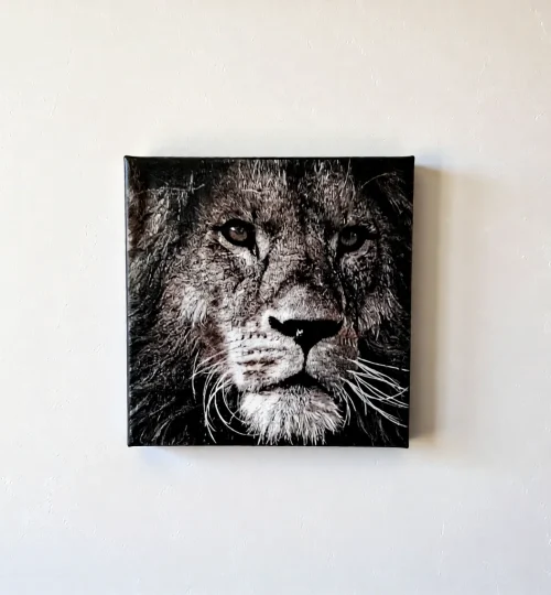 lion canvas