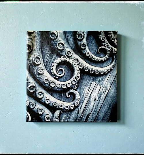 octo canvas